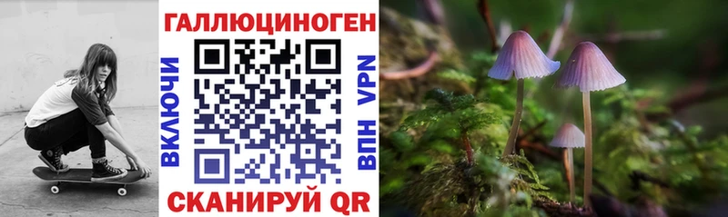 Псилоцибиновые грибы ЛСД  KRAKEN зеркало  Холмск 